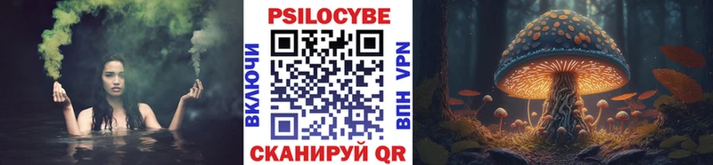 где купить наркотик  Шилка  Галлюциногенные грибы ЛСД 